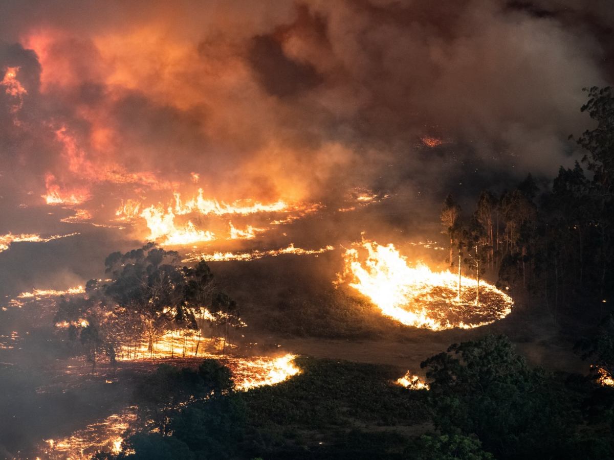 Australia’s Deadly Bushfires Are So Big They’ve Started Generating Their Own&nbsp;Weather